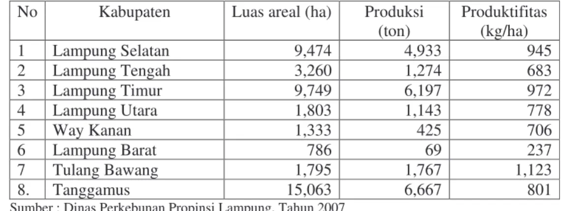 Tabel 19  Luas areal, produksi dan  produktifitas perkebunan kakao pada beberapa                  kabupaten di Propinsi Lampung tahun 2006 
