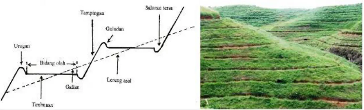 Gambar 6. Teras Bangku Sumber : Dok. Supriadi Teras Individu