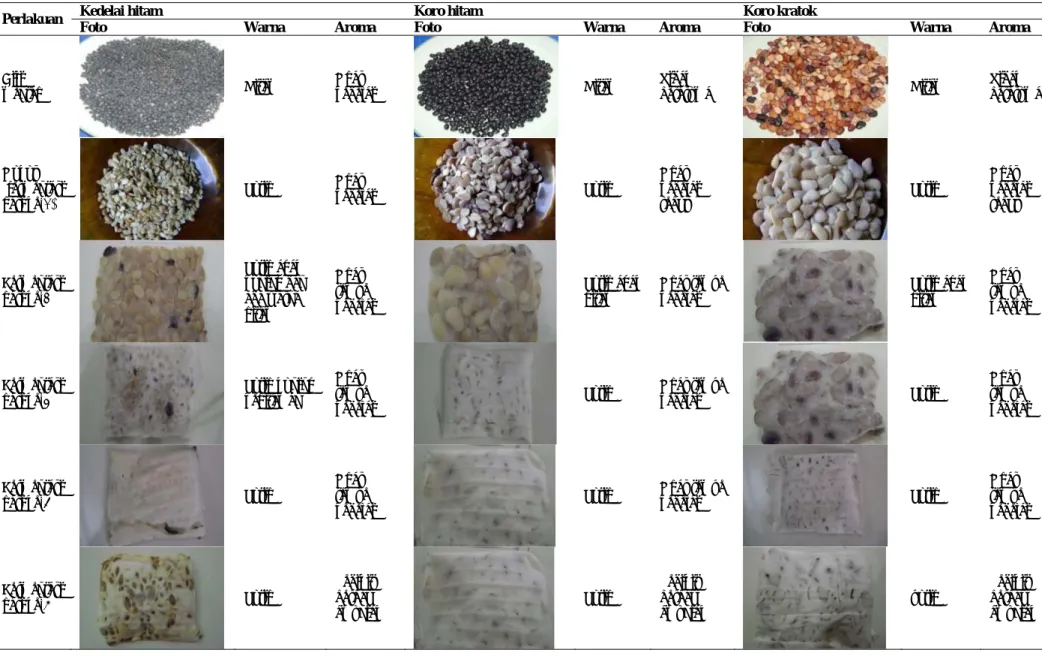 Tabel 1. Hasil pengamatan biji kedelai hitam, koro hitam dan koro kratok serta produk tempenya 
