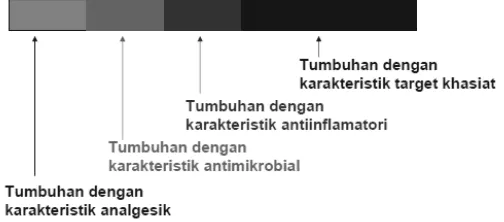 Gambar 1 Hipotesis struktur komposisi jamu (Pusat Studi Biofarmaka) 