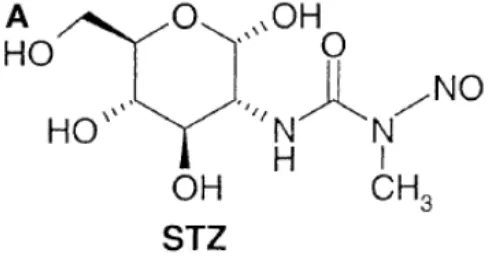 Gambar 2 Struktur kimia streptozotocin (Elsner 2000) 