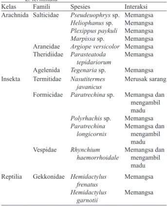 Tabel 1. Spesies musuh alami dan interaksinya terhadap lebah  L. terminata
