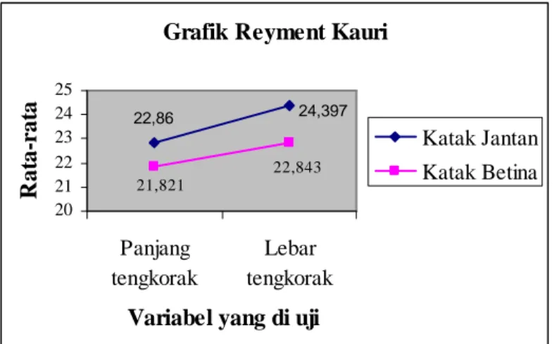 Grafik Reyment Kauri