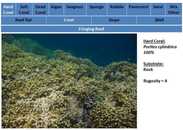Gambar 5. Kartu identifiikasi habitat pada ekosistem terumbu karang 