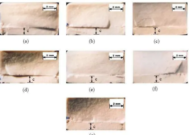 Gambar 5. Foto permukaan patah dari spesimen dengan penambahan persentase berat  Zirconia (a) 0%, (b) 3%, (c) 6%, (d) 9%, (e) 12%, (f) 15%, dan (g) 18% 