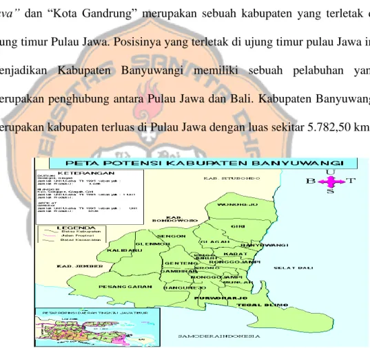 Gambar 2. Peta Potensi Kabupaten Banyuwangi 