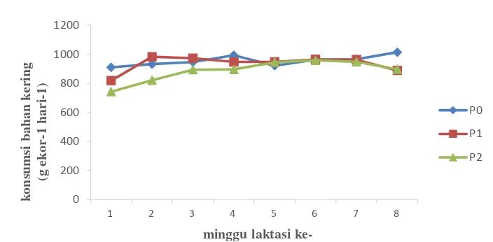 Gambar 1 Grafik pola rataan konsumsi bahan kering selama pemeliharaan. 