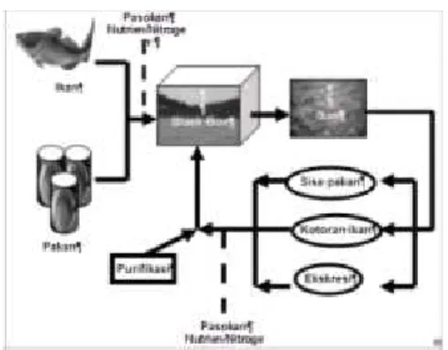 Gambar -3. Model keseimbangan bahan dalam kegiatan budidaya perikanan budidaya ikan kerapu di karamba jaring apung.