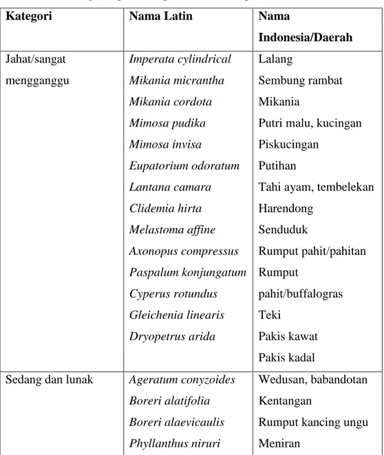 Tabel 2.5. Jenis – jenis gulma di perkebunan kelapa sawit : 