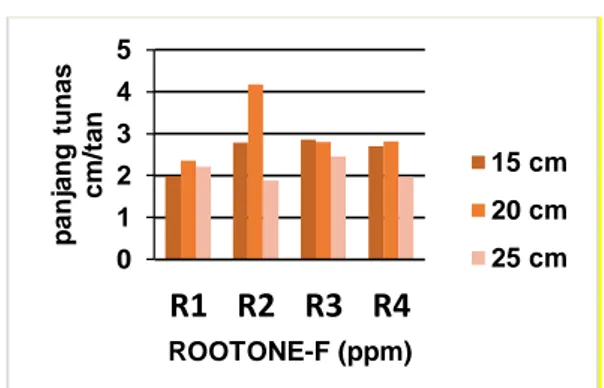 Tabel  2.  Jumlah  Tunas  Tanaman  Akibat  Interaksi  Perlakuan  Kombinasi  Panjang  Stek  dan  Pemberian  ZPT  Rootone-F  pada  Umur Pengamatan 42 hst