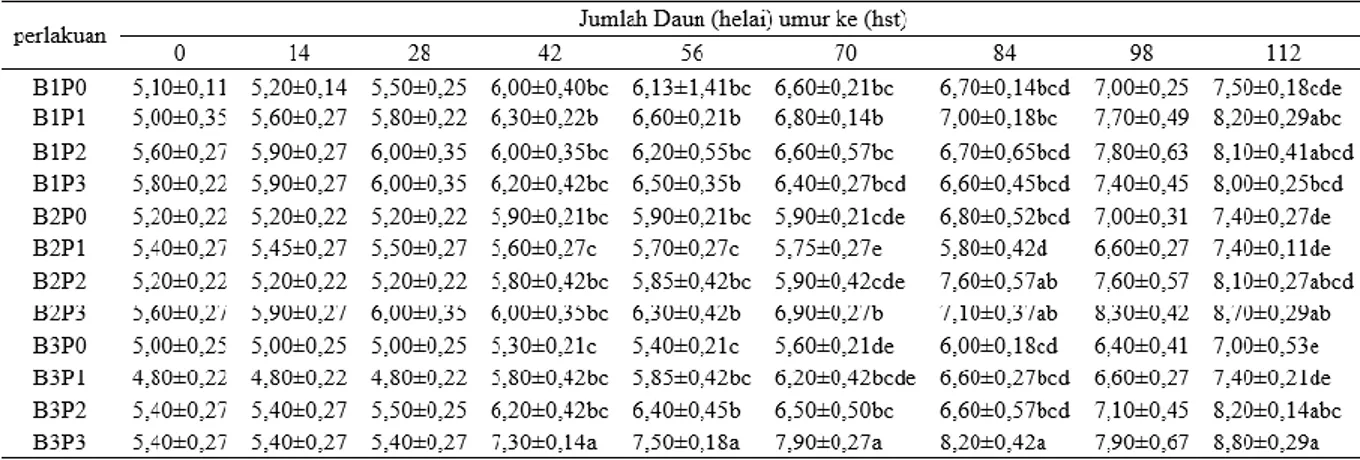 Tabel 3. Pengaruh kombinasi media tanam dan dosis pupuk osmocote terhadap pertumbuhan  jumlah daun 