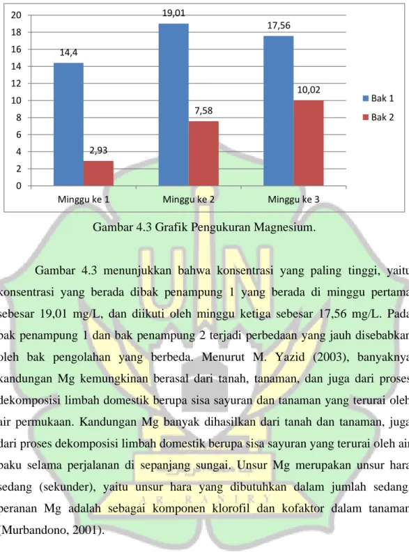 Gambar 4.3 Grafik Pengukuran Magnesium. 