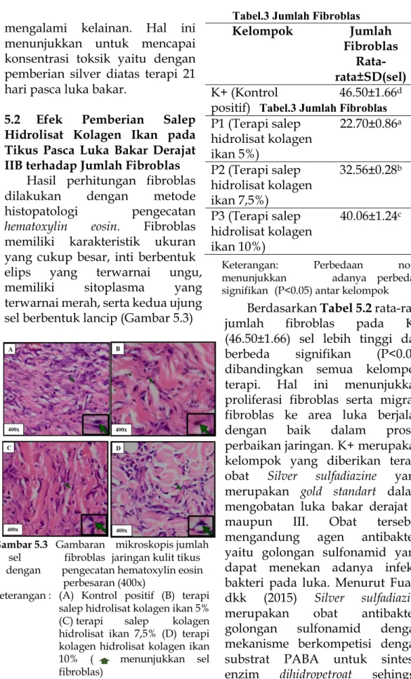 Gambar 5.3   Gambaran    mikroskopis jumlah  sel    fibroblas   jaringan kulit tikus  dengan    pengecatan hematoxylin eosin 