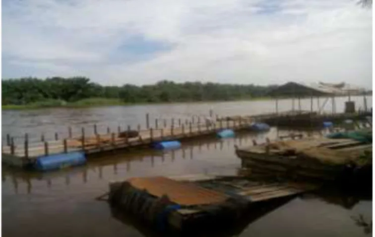 Gambar 1. Keramba Sungai Kampar bagian Hilir  Sumber : Dokumentasi Penelitian 