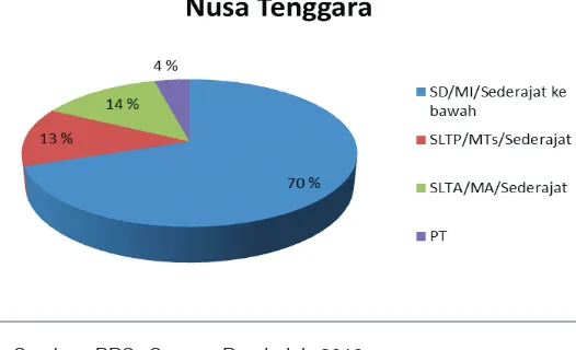 Gambar 2.8  Komposisi Pendidikan Penduduk Nusa Tenggara