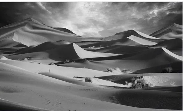 Gambar 3  : Karya Deden Durahman  LOOK AFTER Landscape #3  (Sumber :  https://durahman.com/portfolio/look-after/) 