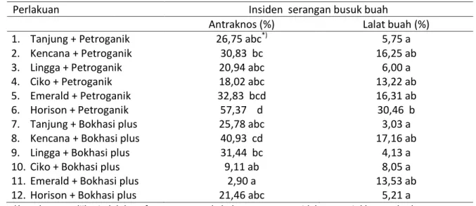 Tabel  5. Jumlah dan berat buah cabai per tanaman 