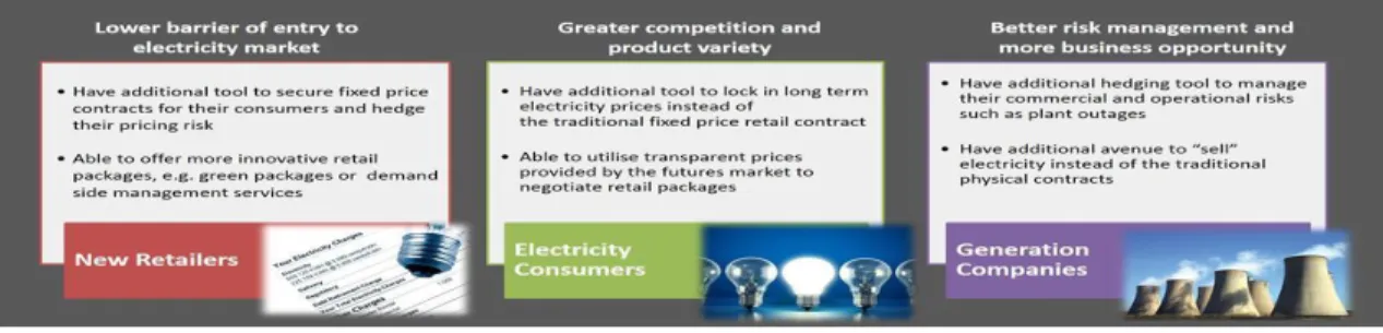 Gambar 3: Benefit from an Electricity Futures Market 