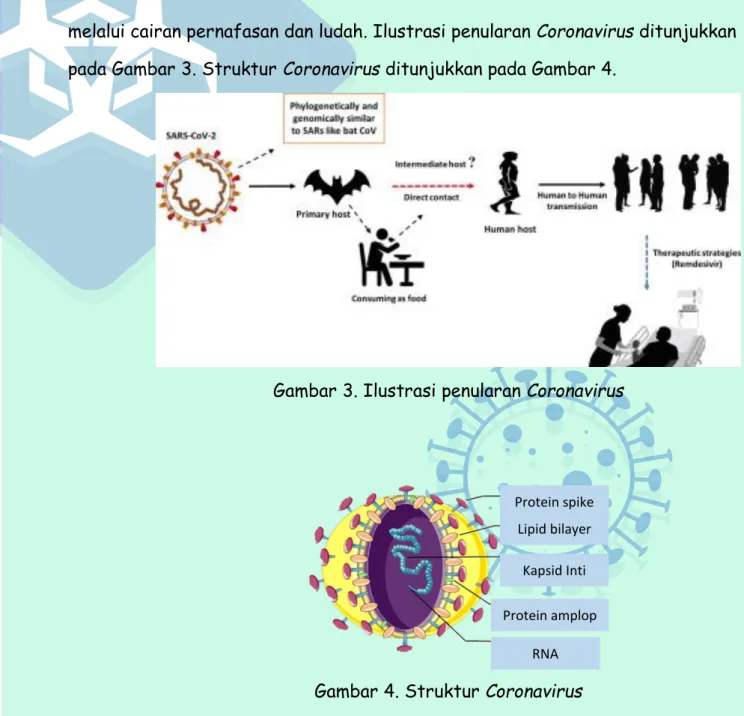 Gambar 3. Ilustrasi penularan Coronavirus 