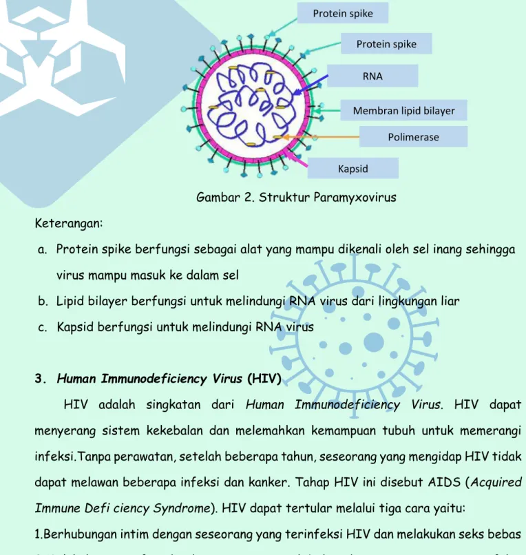 Gambar 2. Struktur Paramyxovirus   Keterangan: 