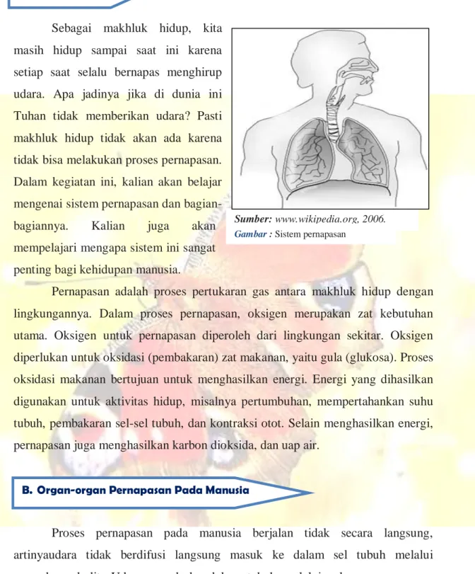 Gambar : Sistem pernapasan  manusia.
