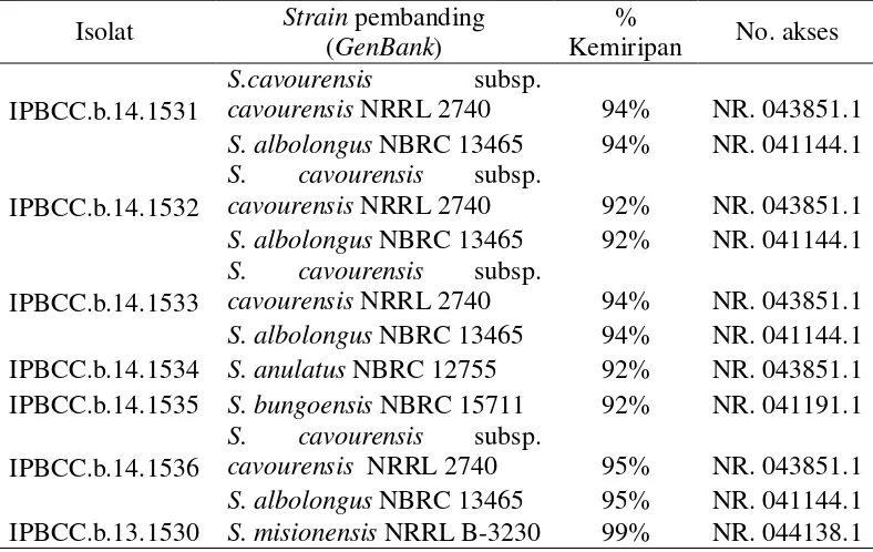 Tabel 3 Persentase kemiripan sekuen gen 16S rRNA aktinomiset endofit padi  dengan strain pembanding GenBank 