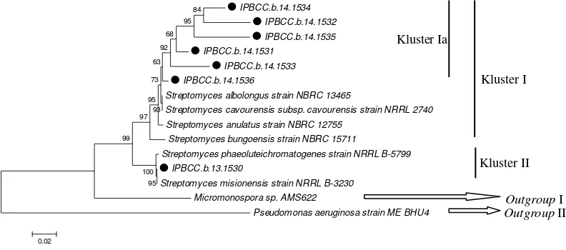 Tabel 4   Matriks jarak genetik (p-distance) sekuen gen 16S rRNA enam isolat  