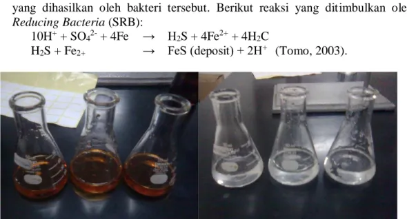 Gambar 9. Hasil titrasi untuk mengetahui adanya H 2 S yang diproduksi Sulphate Reducing  Bacteria (SRB) 