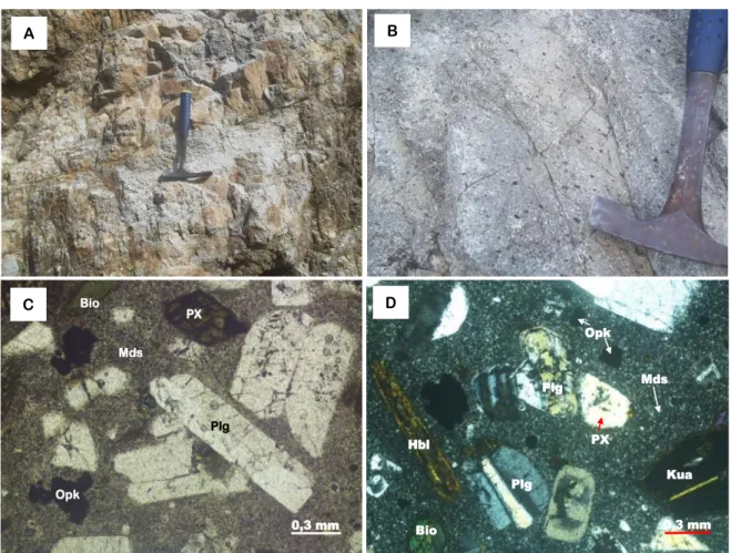 Gambar  3.  Kenampakan  litologi  andesit  (A  dan  B)  serta  fotomikrograf  batuan  andesit  porpfiri  yang  merupakan  batuan  dasar  endapan  bentonit  di  Kab