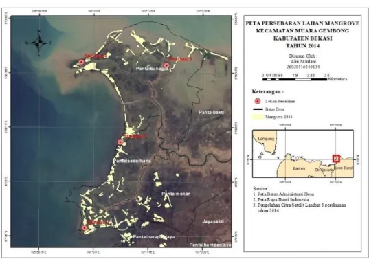 Gambar 2. Sebaran  Mangrove  Kecamatan  Muara  Gembong  Kabupaten  Bekasi  tahun  2014  menggunakan citra satelit Landsat 8 dengan waktu perekaman 13 September 2014