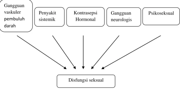 Gambar 4. Kerangka teori hubungan alat kontrasepsi dengan disfungsi seksual  (Modifikasi dari Kasdu Dini, 2008) 