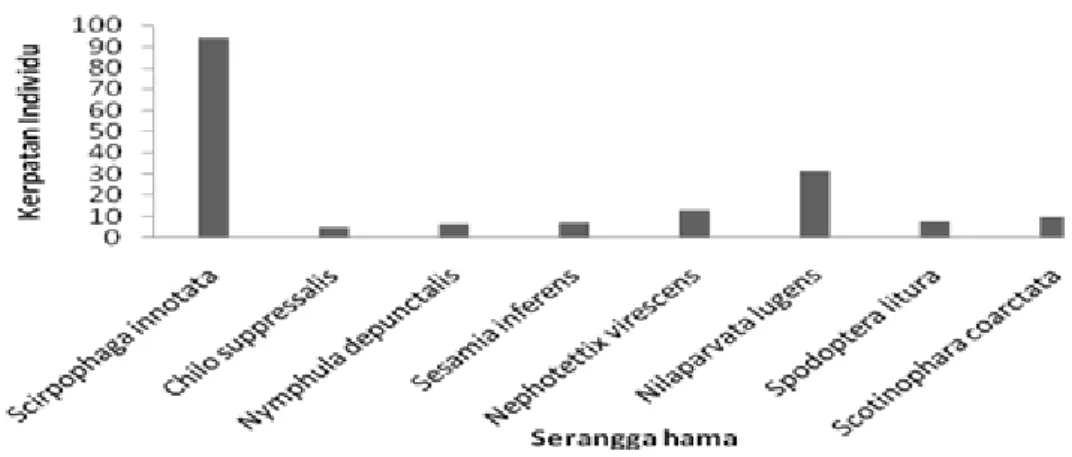 Tabel 2. Keberadaan Serangga Hama pada Fase Vegetatif di pertanaman Padi.  