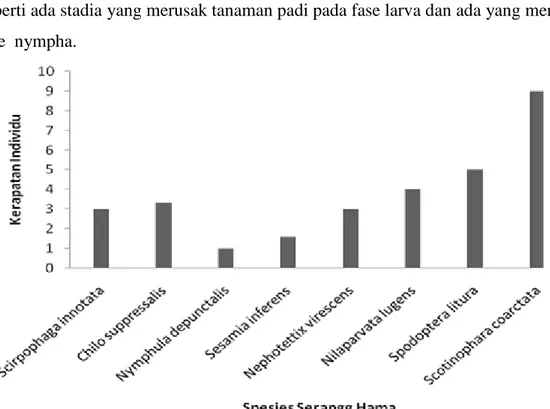 Tabel 5.   Keberadaan Serangga Hama pada Fase Generatif di pertanaman Padi  