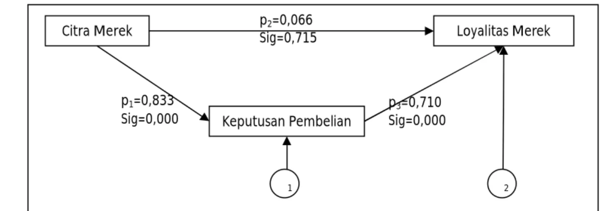 Gambar 1. Koefisien dan probabilitas 