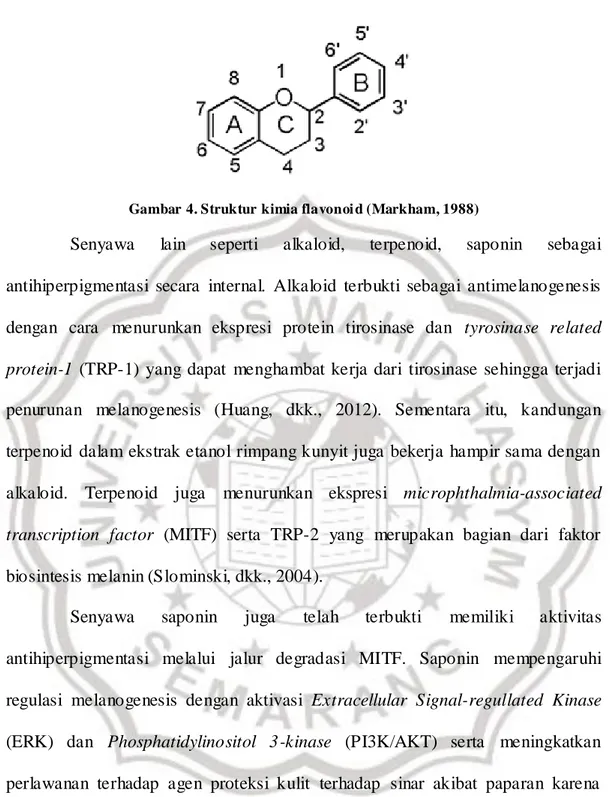 Gambar  4. Struktur  kimia flavonoi d (Markham, 1988) 