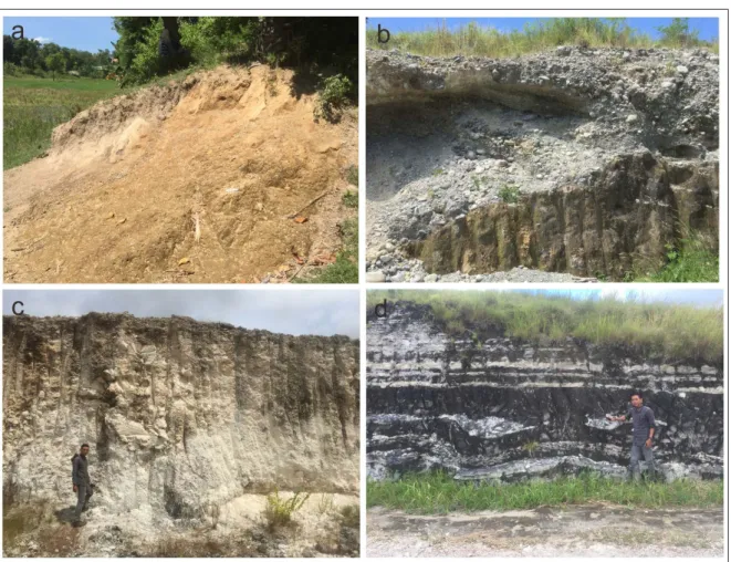 Figure 3. Several outcrops that found in the East Sumba; a. flood plain alluvial deposit; b