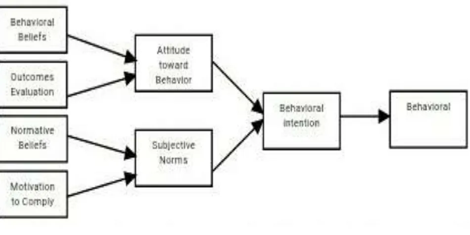 Gambar berikut menjelaskan bagaimana proses dari theory of reasoned action :