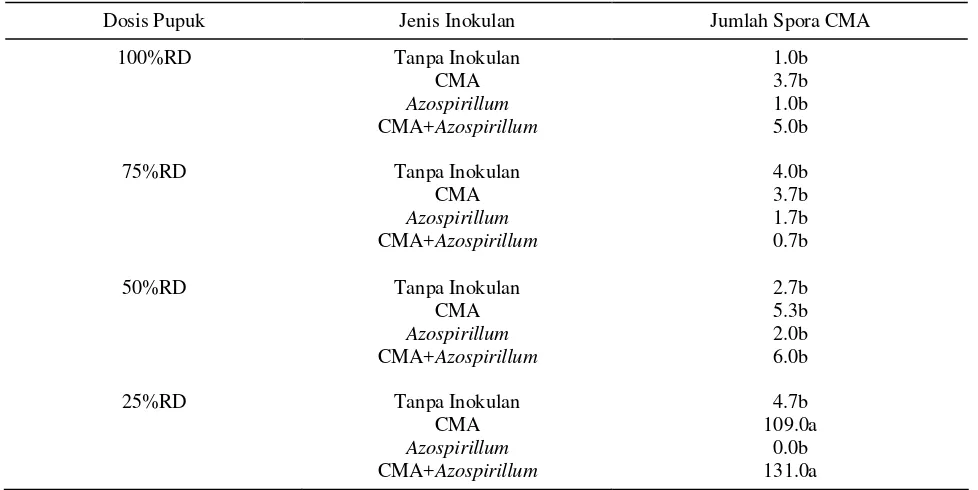 Tabel 1.  Pengaruh interaksi dosis pupuk dan jenis inokulan terhadap jumlah spora CMA pada 16 MST 