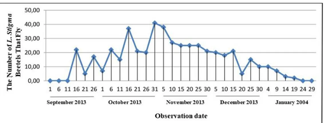 Gambar 3. Jumlah kumbang L. stigma yang terbang di lahan vegetasi rumput pada bulan September 2013- Januari 2014