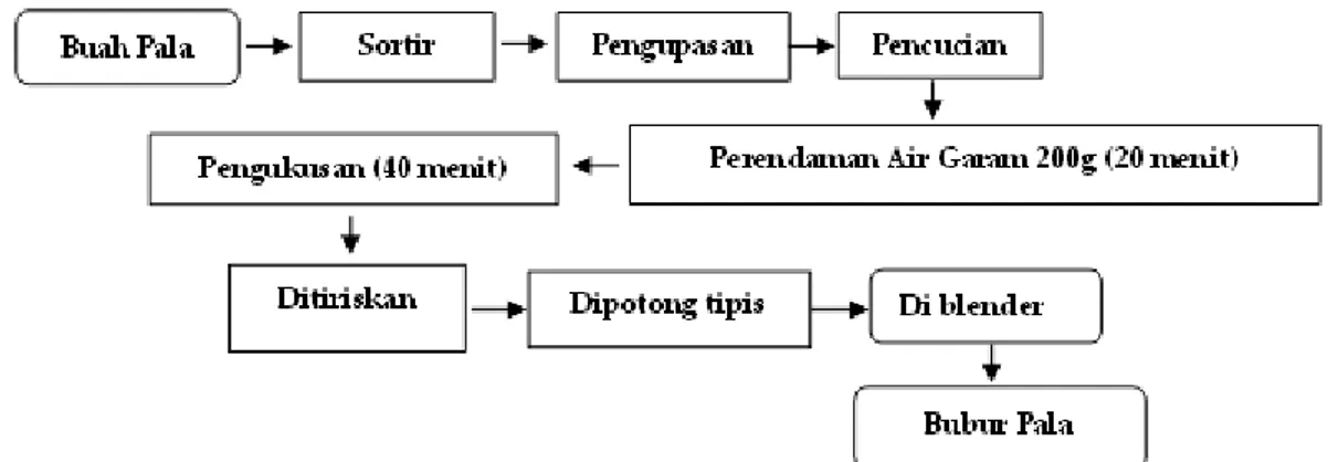 Gambar  1.    Diagram  Alir  Pengolahan  Daging  Buah  Pala  (Modifikasi    Zandy  dan  Lewa  (1992),  dan Hanggara et al (2016) 