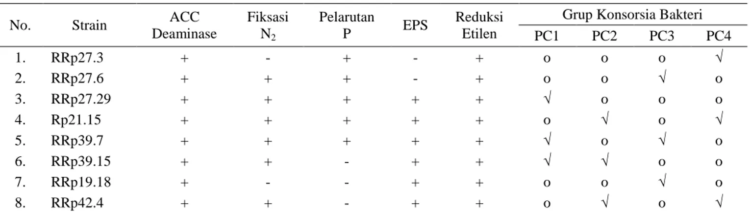 Tabel 2.  Karakteristik  konsorsium  bakteri  pengendali  cekaman  (PC)  berdasarkan  hasil  pengelompokan  karakter  fenotip  bakteri  