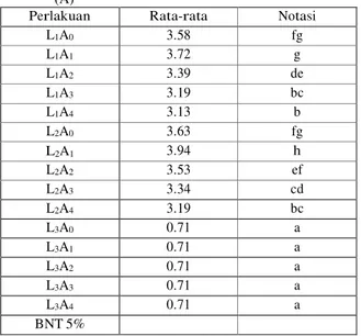 Tabel  2   Rerata Jumlah Badan Buah Akibat Pengaruh Interaksi  Lama  Pengomposan  (L)  &amp;  Pemberian  Ampas  Tahu  (A) 