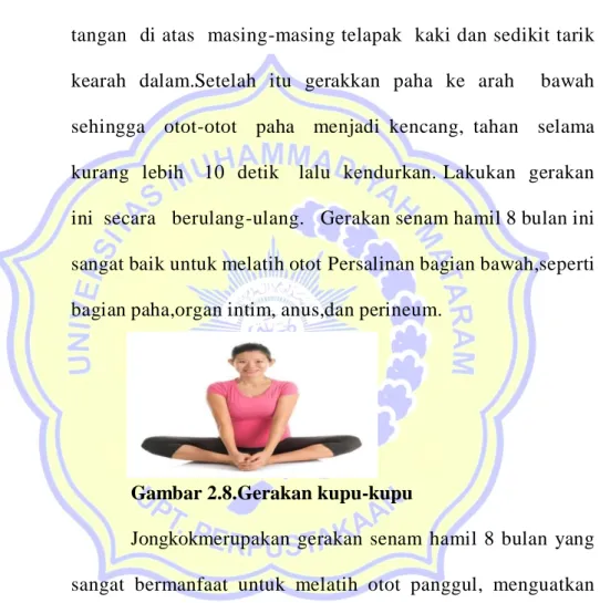 Gambar 2.8.Gerakan kupu-kupu 