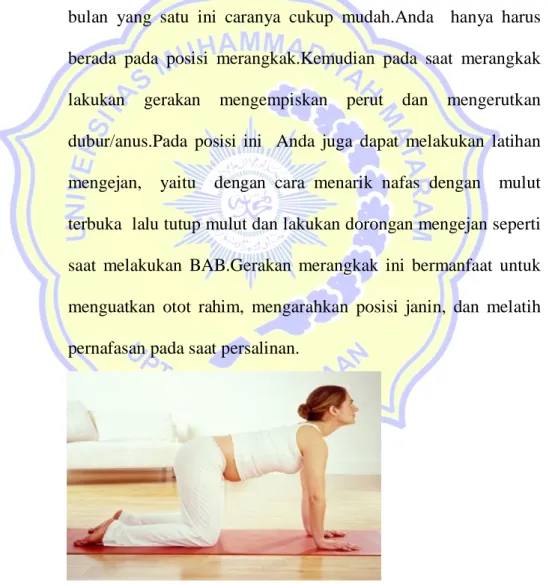 Gambar 2.9.Gerakan jongkok 