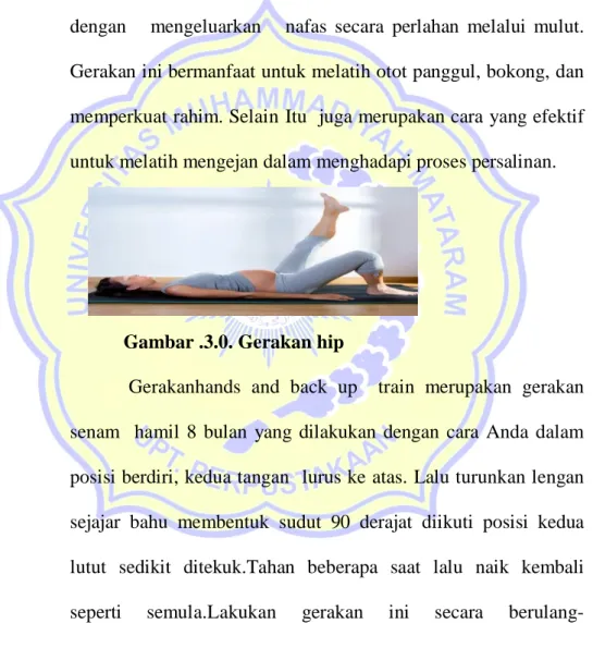 Gambar .3.0. Gerakan hip 