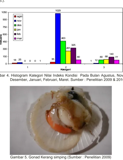 Gambar  4.  Histogram  Kategori  Nilai  Indeks  Kondisi    Pada  Bulan  Agustus,  November,   Desember, Januari, Februari, Maret