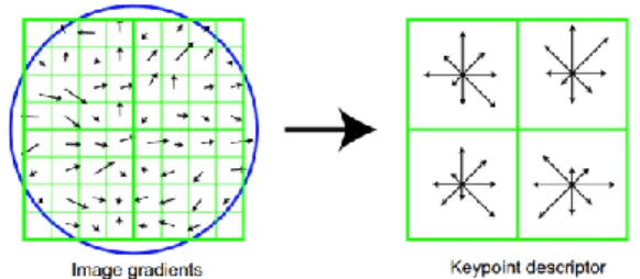 Gambar 2.3.5 Gambar setelah ditandai keypoint 