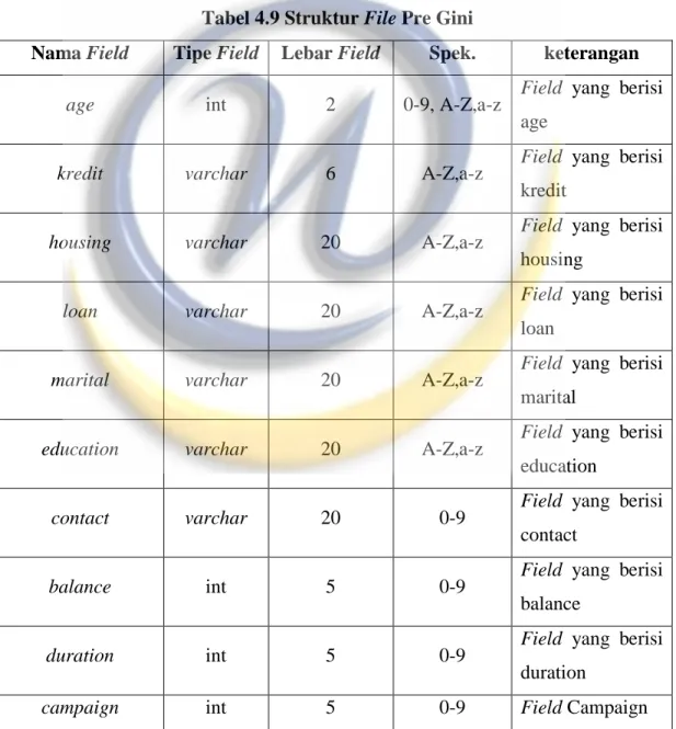 Tabel 4.9 Struktur File Pre Gini 