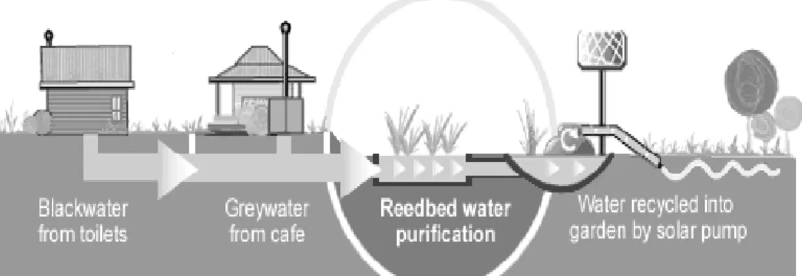 Gambar 5.4  Sistem Pengolahan Air Limbah Domestik dengan Wetland Buatan  ( www.Constructed wetland /The Reed bed.com) 