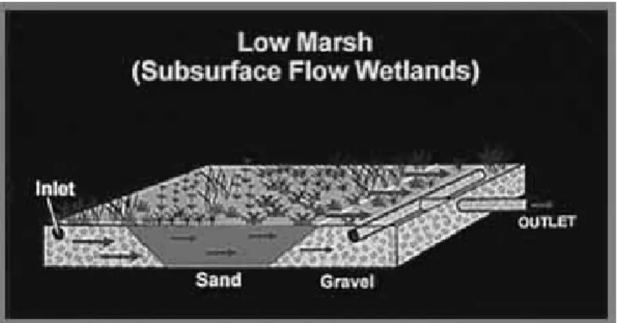 Gambar 5.5  Wetland Buatan Tipe Horizontal Subsurface Flow  (  www.Constructed wetland /wastewater treatment system.com) 